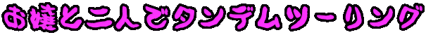 ƓlŃ^fc[O