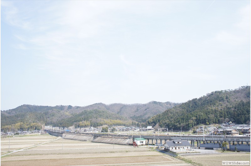 DSC08418